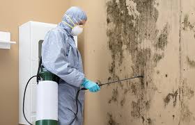 Best Mold Documentation for Insurance Claims  in New Berlin, WI